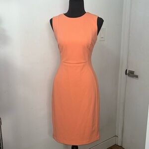 Calvin Klein Peach Dress